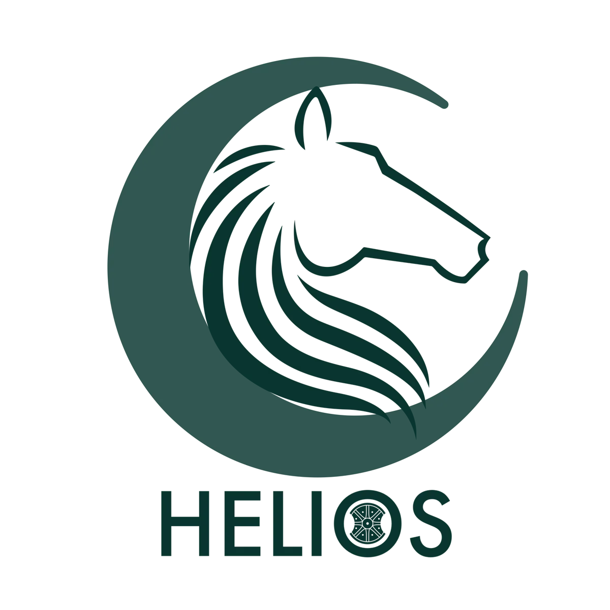 HELIOS TRANSPORT logo