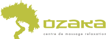 EURL OZAKA (EURL OZAKA) logo
