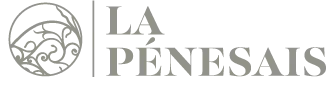 SALOMON BRUNO logo