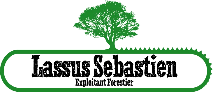 LASSUS SEBASTIEN logo