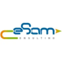 CESAM CONSULTING logo