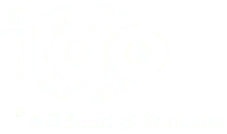 IGO SAS logo