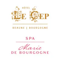 HOTEL LE CEP (HOTEL LE CEP VIEILLE DEMEURE) logo