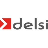 DELSI logo