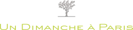 OCEAN BRUN logo
