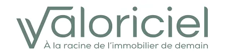 VALORICIEL logo