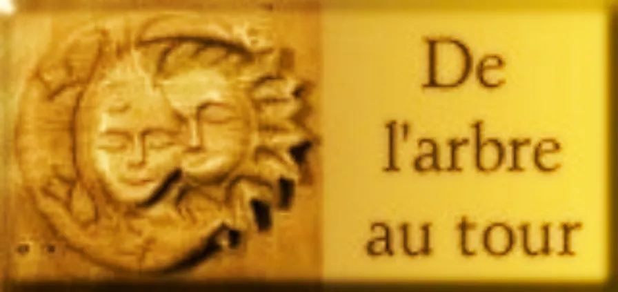 OTTEVAERE PIERRE logo