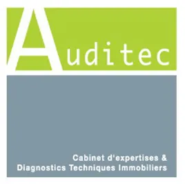 AUDITEC DIAGNOSTICS logo