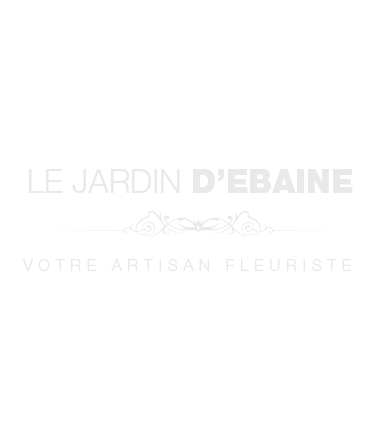 LE JARDIN D'EBAINE logo