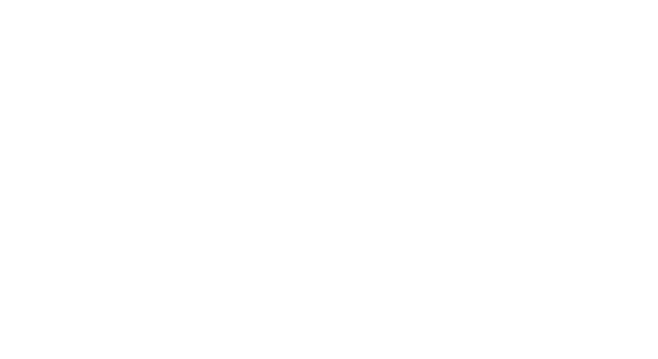 LITEMOON logo