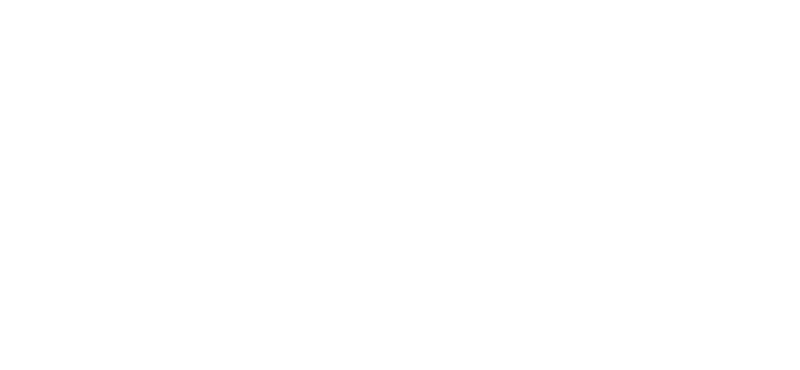 ALPINE INTERIORS logo