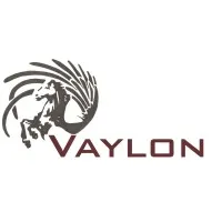 VAYLON logo