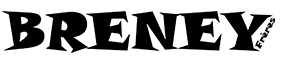 SARL TRANSPORT BRENEY FRERES logo
