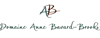 BAVARD ANNE logo