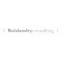 BOISLANDRY CONSULTING logo