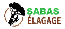 SABAS PAUL logo