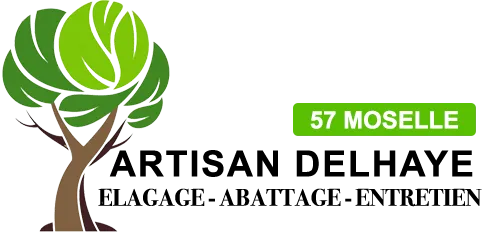 DELHAYE JORDAN logo
