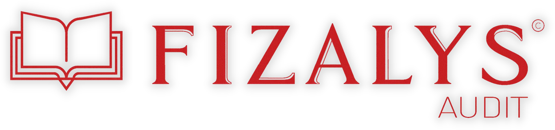 HOLDING 2010 logo