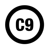 C9 CONSULTANTS logo