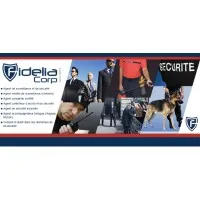 FIDELIA CORP logo