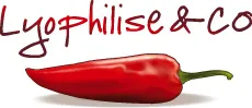 SAVEURS & LOGISTIQUE (LYOPHILISE.FR) logo