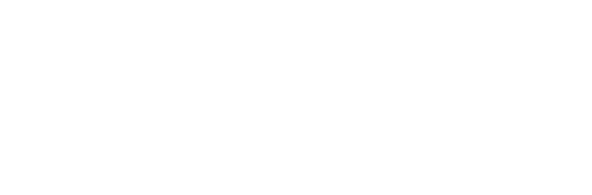DIAMANT BLANC logo