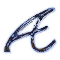 ALTER EGO PRP logo