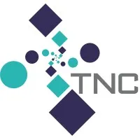 T NELSON CONSEIL logo