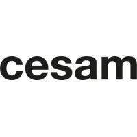 Voici le logo de la marque CESAM qui représente son identité graphique.
