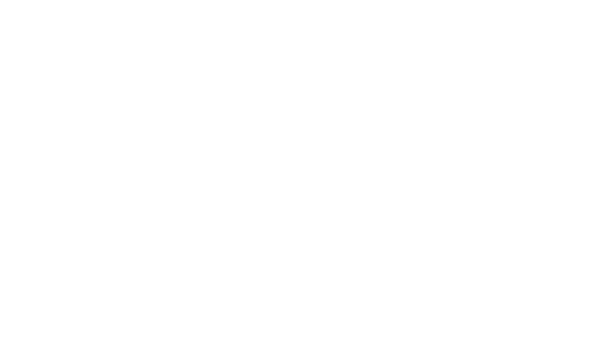 BODIN FRANCOIS (LIBERTY PC) logo