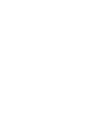 CHAMPION GABRIEL logo
