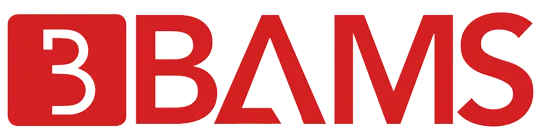 BAM SERVICES (BAMS) logo