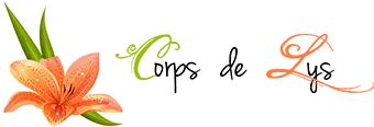 BRAILLY SYLVIE logo