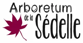 HANEKOM NELL logo