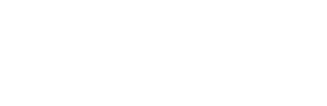 MAREEL NICOLAS logo