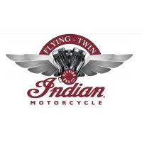 FLYING TWIN logo