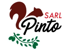 PINTO logo