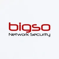 BIG SO logo