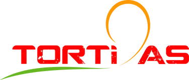 ALMI CONCEPT logo