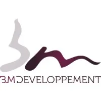 BM DEVELOPPEMENT logo