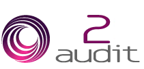 E2C AUDIT logo