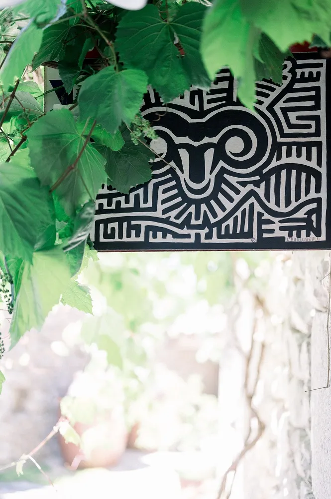 DIRECT TANNERIE (DT COLLECTION) logo