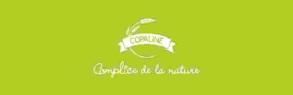 LA BOUL'ANGE logo
