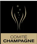 BOULOGNE XAVIER logo