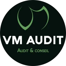 Voici le logo de la marque VM AUDIT qui représente son identité graphique.