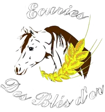 VINDRET PHILIPPE logo