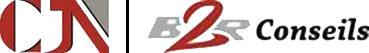 C2B CONSULTANTS logo