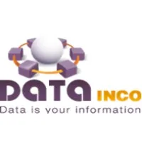 DATA INTEGRATION CONSULTING logo