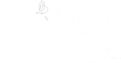 LES ECURIES DE KERVIOLO logo