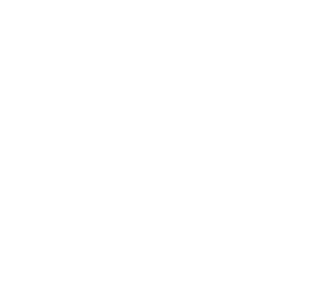 QOMINO logo